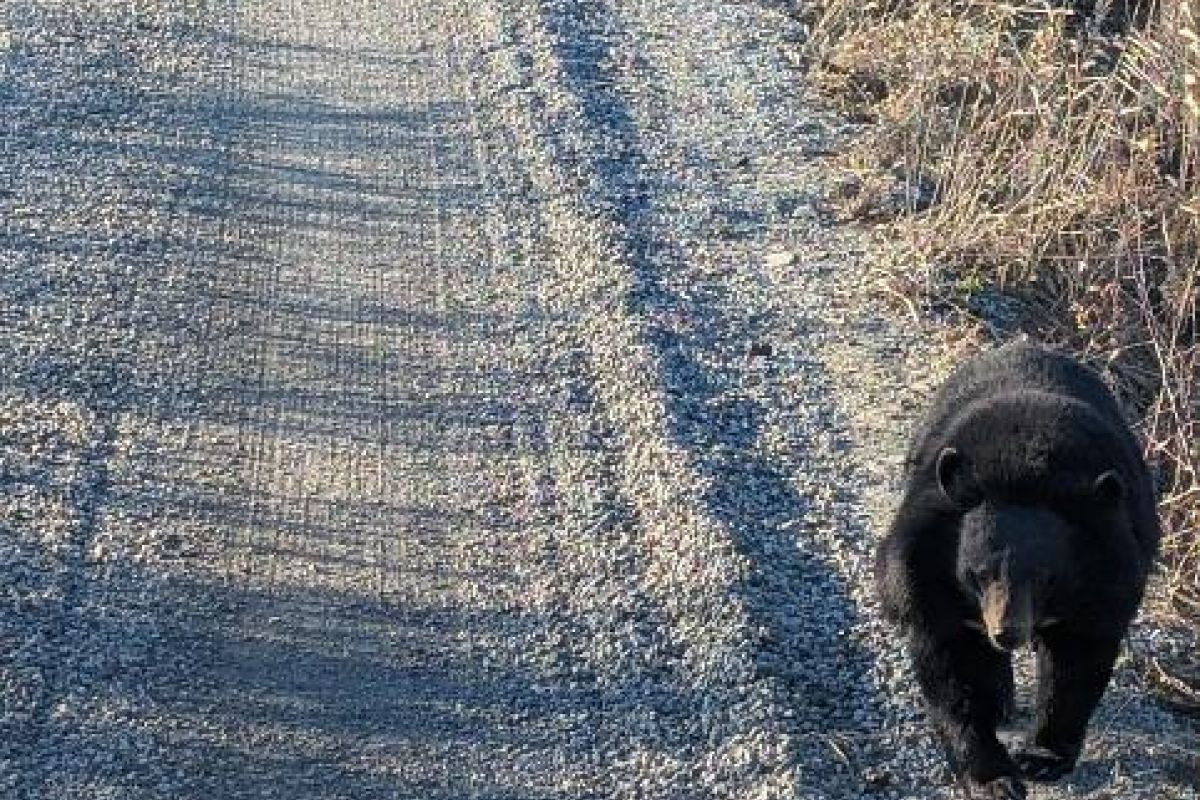 Экскурсия на остров Большой Уссурийский