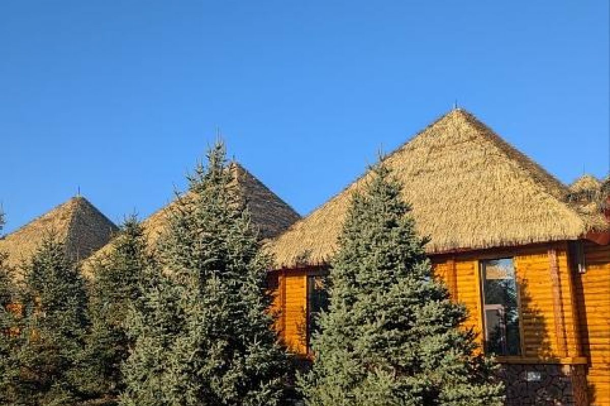 Экскурсия на остров Большой Уссурийский